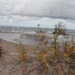 From Riga: Budget Day Trip to Kolka in Zen style! - Exploring Latvia’s Hidden Gem: Cape Kolka