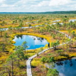 From Riga: Jurmala and Great Kemeri Private Full-Day Trip - Authentic Experiences That Leave a Lasting Impression