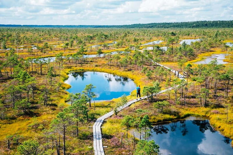 From Riga: Jurmala and Great Kemeri Private Full-Day Trip - Authentic Experiences That Leave a Lasting Impression