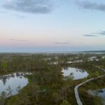 From Riga: Kemeri Bog Boardwalk and Jurmala Seaside - Exploring Latvia’s Nature and Seaside with Confidence