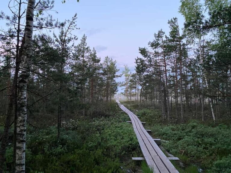 From Riga: Kemeri Bog & Seaside Jurmala - Who Will Love This Tour?