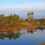From Riga: Kemeri National Park and Kuldiga Tour - Final Thoughts