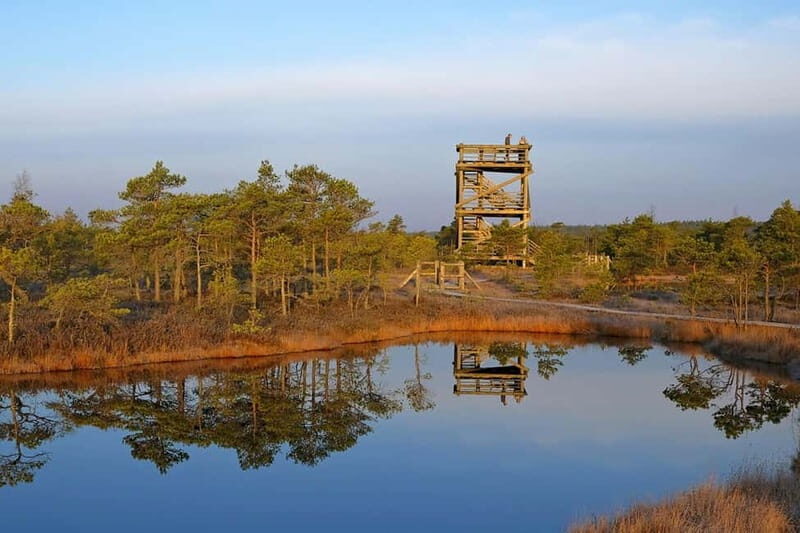 From Riga: Kemeri National Park and Kuldiga Tour - Final Thoughts