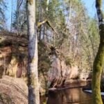 From Riga: Ligatne Village and Gauja River National Park - Authenticity and Value