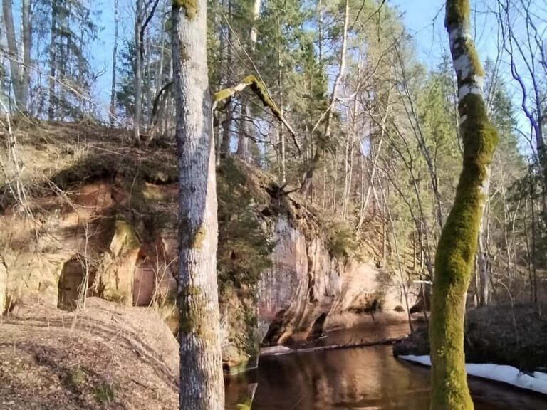 From Riga: Ligatne Village and Gauja River National Park - Authenticity and Value