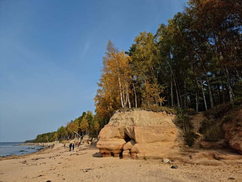 From Riga: Vidzeme Coast Half-Day Trip with Lunch - Final Thoughts: Is the Vidzeme Coast Half-Day Trip Right for You?