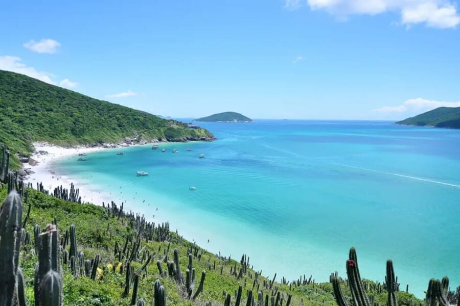 From Rio de Janeiro: Arraial do Cabo Island Day Trip - Who will love this tour?