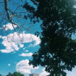 From Riviera Maya: Chichén Itzá tour with cenote and buffet lunch - Who Would Enjoy This Tour?