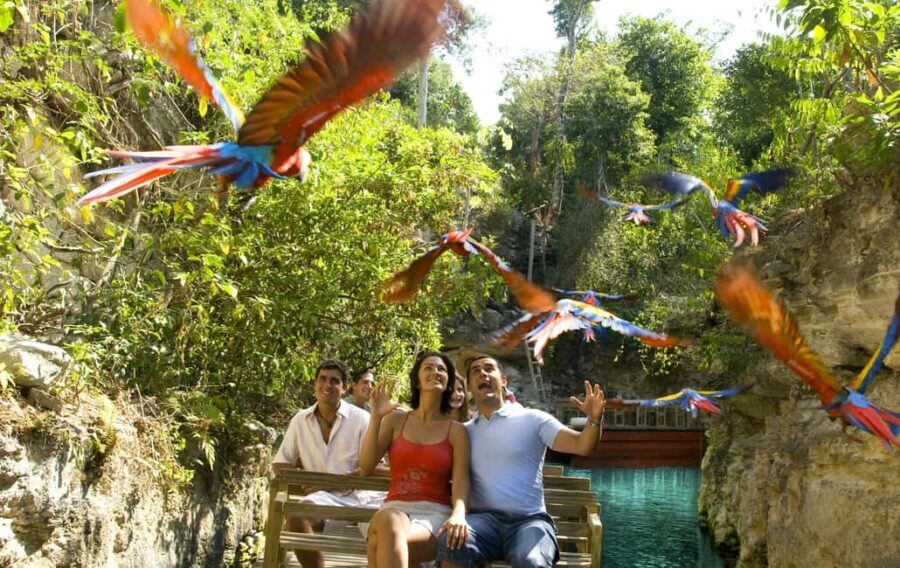 From Riviera Maya: Complete Combo to Xcaret Park! - Practical Tips for Visiting Xcaret