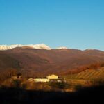 From Rome: Cantina Le Macchie Winery Tour and Tasting - Final Thoughts: Who Is This Tour Best For?