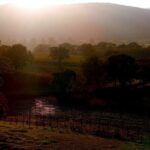 From Rome: Hidden Tuscany Day Trip with Lunch and Wine Tastings - What’s Included and How It Adds Value