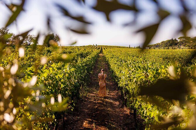 From Rome to the Castles: Private 3-Hour Wine Tasting Tour - From Rome to the Castles: Private 3-Hour Wine Tasting Tour