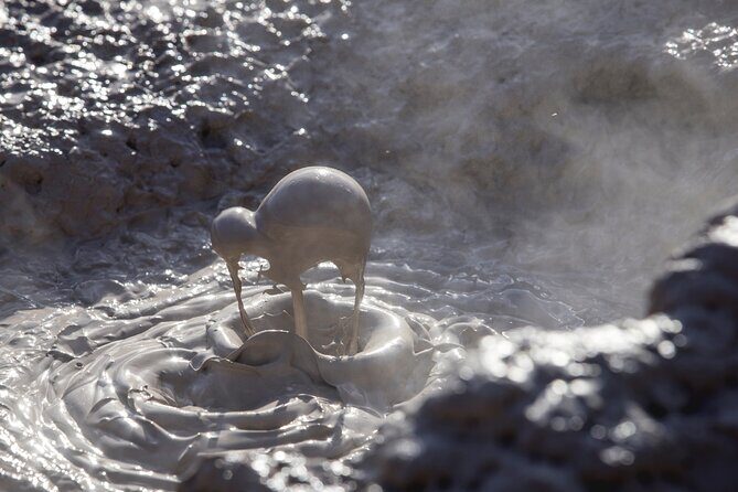 From Rotorua WAI-O-TAPU Geothermal Wonderland Half Day Tour - Transportation and Convenience