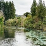 From Rotorua - WAI-O-TAPU - WAIKITE Pool & HUKA FALLS Cruise - Scenic Cruise to Huka Falls