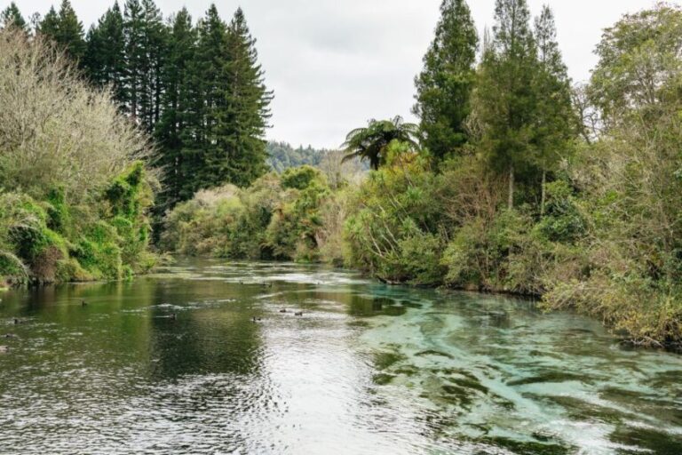 From Rotorua - WAI-O-TAPU - WAIKITE Pool & HUKA FALLS Cruise - Scenic Cruise to Huka Falls
