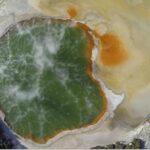 From Rotorua: Wai O Tapu & Waimangu Eco Thermal Morning Tour - Key Points