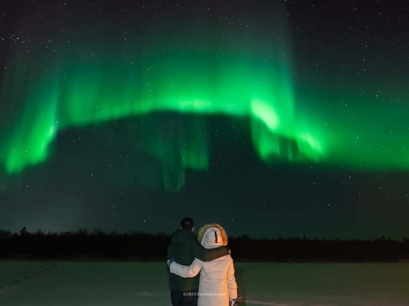 From Rovaniemi: Aurora Borealis Hunting with Photos & Videos - Why This Tour Works for You