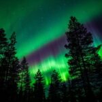 From Rovaniemi: Family-Friendly Northern Lights Tour - What’s Included and What’s Not