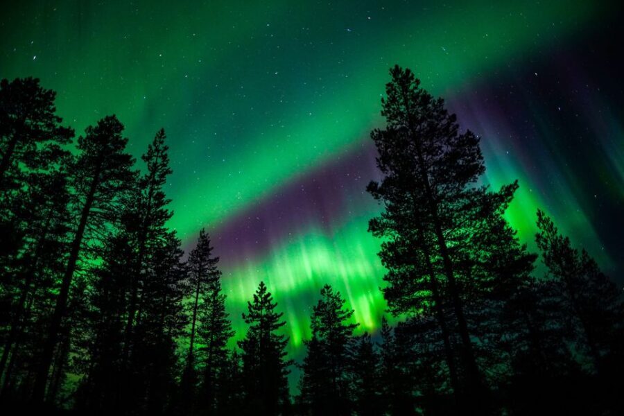 From Rovaniemi: Family-Friendly Northern Lights Tour - What’s Included and What’s Not
