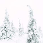 From Rovaniemi: Frozen Wonderland Riisitunturi Winter Hike - The Itinerary: What to Expect from Start to Finish
