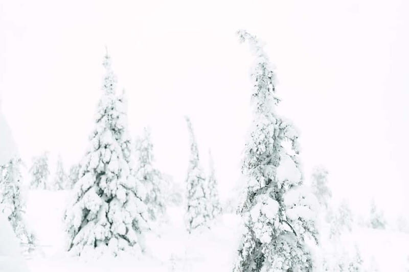 From Rovaniemi: Frozen Wonderland Riisitunturi Winter Hike - The Itinerary: What to Expect from Start to Finish