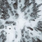 From Rovaniemi: Korouoma Canyon and Frozen Waterfalls Tour - Who Is This Tour Best For?