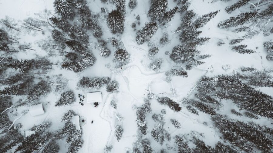From Rovaniemi: Korouoma Canyon and Frozen Waterfalls Tour - Who Is This Tour Best For?