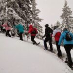 From Rovaniemi: Korouoma Frozen Waterfalls Small-Group Hike - What’s Included and What to Expect