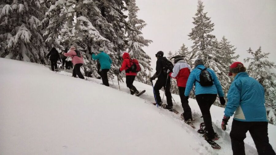From Rovaniemi: Korouoma Frozen Waterfalls Small-Group Hike - What’s Included and What to Expect