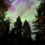 From Rovaniemi: Northern Lights Tour with Campfire Snacks - Authentic Traveler Insights