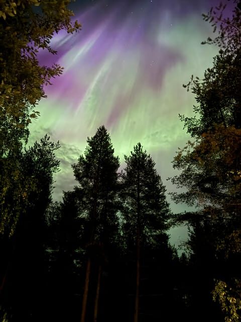 From Rovaniemi: Northern Lights Tour with Campfire Snacks - Authentic Traveler Insights