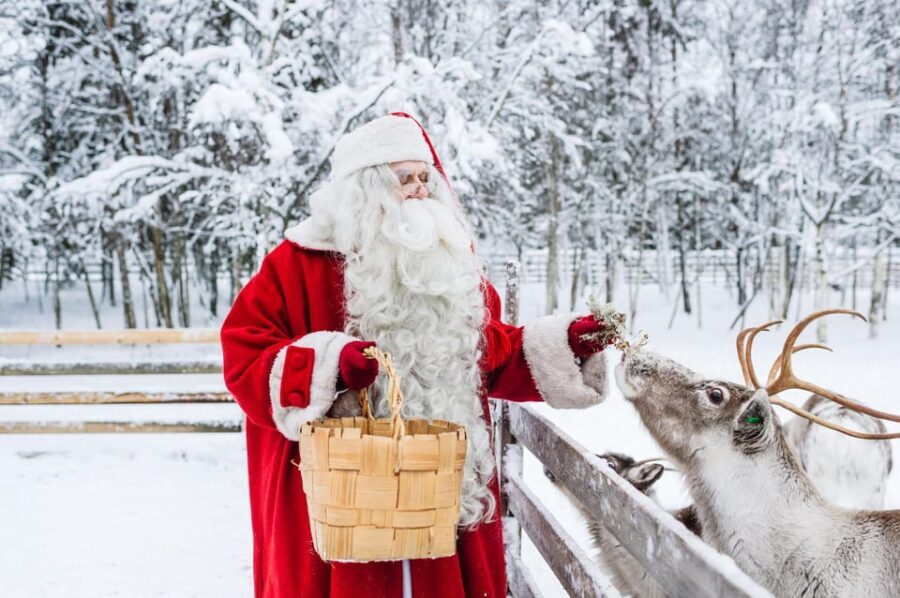 From Rovaniemi: Tour to Santa Claus Village - Exploring Santa Claus Village: What to Expect