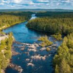From Rovaniemi: Vikaköngäs Forest Hiking Tour - Value and Booking Tips
