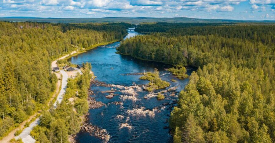 From Rovaniemi: Vikaköngäs Forest Hiking Tour - Value and Booking Tips