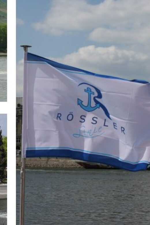 From Rüdesheim: 1.5-Hour Boat Cruise with Wine Tasting - What to Expect on the Rhine Cruise