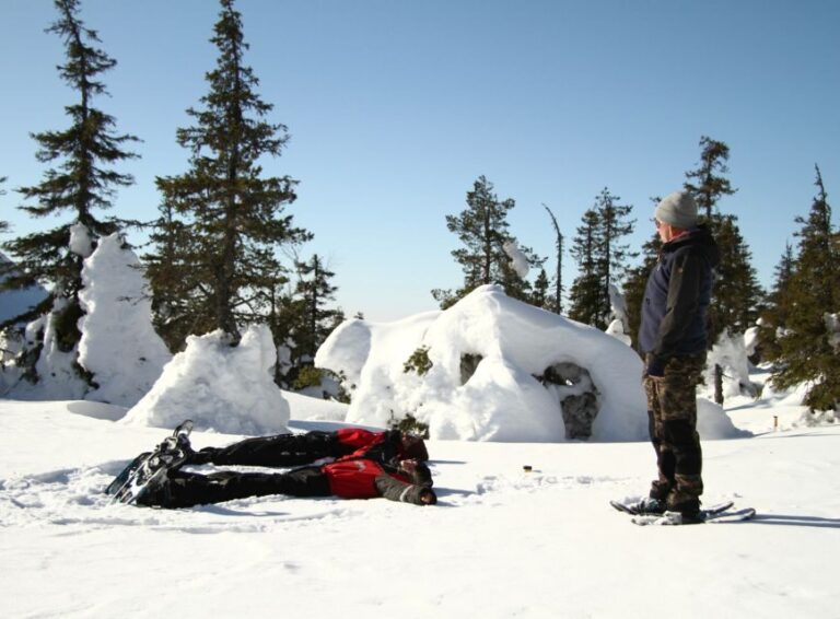 From Ruka: Snowshoeing in Riisitunturi National park - Exploring the Details of the Riisitunturi Snowshoeing Tour