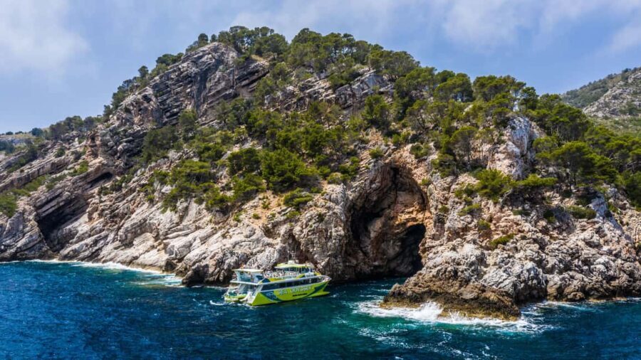 From Sa Coma: East Coast Glass Bottom Boat Trip - What To Expect Onboard