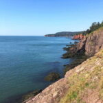 From Saint John: Bay of Fundy Bus Trip for Cruise Passengers - Who Would Enjoy This Tour?