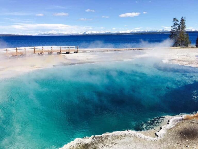 From Salt Lake City: 7-Day Yellowstone and Las Vegas Tour - Why This Tour Works Well