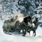 From Salzburg: 8 hour Horse-Drawn incl. 2-hour Carriage Ride - A Detailed Review of the From Salzburg: 8-hour Horse-Drawn Tour