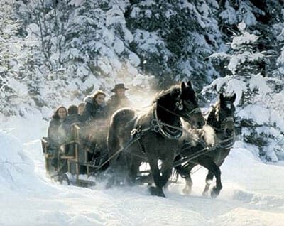 From Salzburg: 8 hour Horse-Drawn incl. 2-hour Carriage Ride - A Detailed Review of the From Salzburg: 8-hour Horse-Drawn Tour