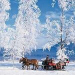 From Salzburg: Romantic Sleigh Ride through the Countryside - Who Should Consider This Tour?