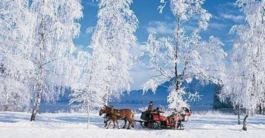 From Salzburg: Romantic Sleigh Ride through the Countryside - Who Should Consider This Tour?