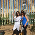 From San Diego: Private Puerto Nuevo Tour with Lobster Lunch - What Sets This Tour Apart?