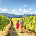 From San Francisco: Alcatraz Night Tour, Muir Woods and Wine - FAQ