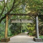From San Francisco: Guided Muir Woods Tour - The Sum Up