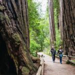 From San Francisco: Muir Woods, Sausalito and Alcatraz Tour - Practical Tips for Travelers