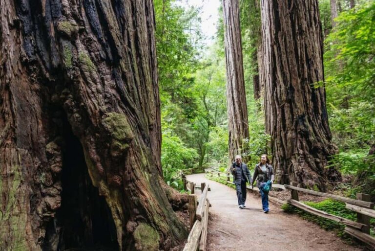 From San Francisco: Muir Woods, Sausalito and Alcatraz Tour - Practical Tips for Travelers