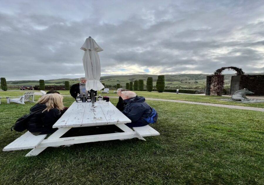 From San Francisco: Napa and Sonoma Private Wine Tour - Who Should Consider This Tour?