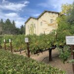 From San Francisco: Private Muir Woods and Napa Wine Tour - An Introduction to the Experience